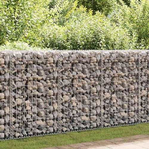 Cesto in pietra Gabione con coperchi, filo zincato, 100 x 100 x 30 cm, robusto per giardino, paesaggistica, frangivista, muro di supporto