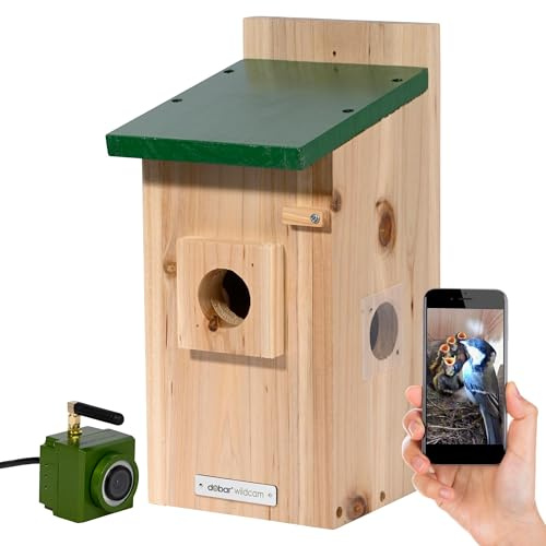 Eazy - Caja Nido para pájaros (con cámara WiFi y Fuente de alimentación, con Ayuda para anidación de Madera y aplicación, diámetro de 40 mm, Orificio de Entrada), Color Verde