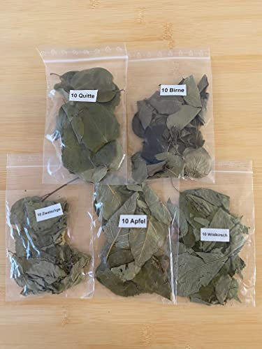 Fruit Tree Mix 5 Varieties (Apple, Pear, Quince, Wild Cherry & Plum) for Aquariums, Shrimp, Snails, Fish, Catfish