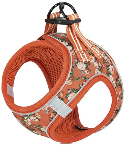HEELE Harnais pour Chiens Harnais Rembourré en Mesh Doux pour Chiots Harnais Respirant Réglable Réfléchissant Harnais pour Marcher Courir Formation, Fleur Orange, 2XS