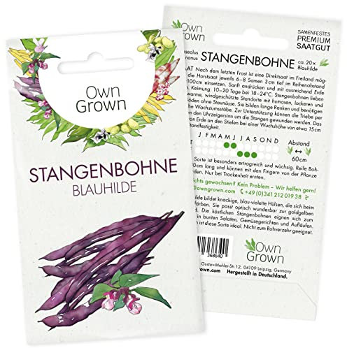 Blaue Bohnen Samen Stangenbohnen: Blaue Stangenbohnen Samen für 20x Blauhilde Bohnen – Gemüse Saatgut Bohnen – Blauhilde Samen Gemüse Samen – OwnGrown