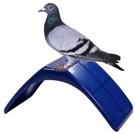Pigeon Rest Stand Lightweight Safe Comfortable | Pigeon Perches Birds Holder for Cage, Pet Store, Playground, Home, Yard, Balcony