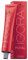 Schwarzkopf Igora Royal 60 ml 8-1 Lichtblond Cendré