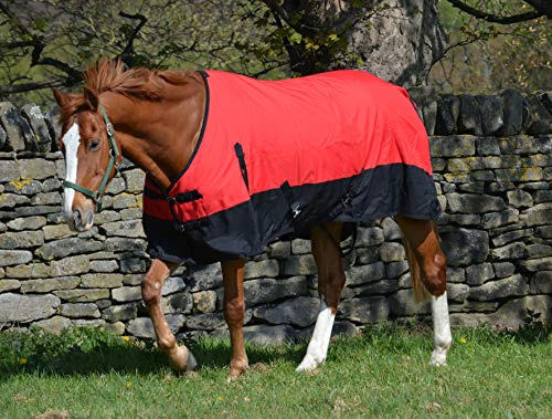 600d - Alfombra ligera e impermeable para caballos de 100 g, cuello estándar, 6 pies