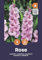 AGRONOM | Gladioli - ROSE | Bulbi fiori perenni | Fiori Rosa | Si coltivano in aiuole, vasi | Vengono raccolti per i mazzi | Confezione da 5 Bulbi fiori