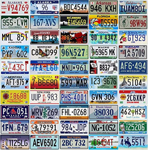 OPO 10 - Set di 50 targhe degli Stati Uniti - Replica di targhe automobilistiche USA in Vero Metallo USA
