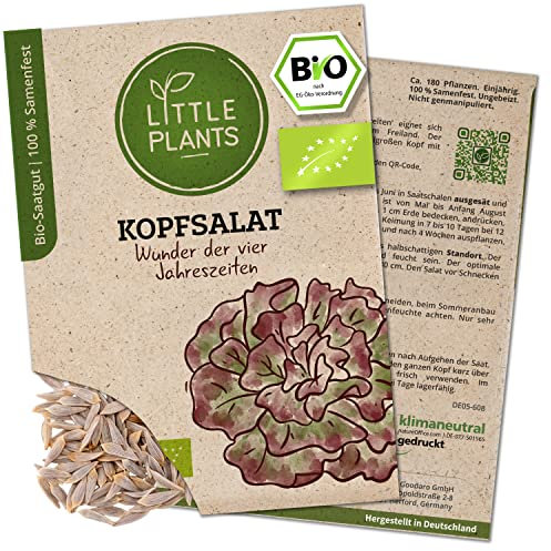 Litte Plants BIO Kopfsalat Samen, 180 Salatsamen, hohe Keimrate, 100% Natürlich, BIO Samen Salat Wunder der 4 Jahreszeiten für Gemüsegarten, Gemüsebeet, Hochbeet – BIO Gemüsesamen Saatgut Nachhaltig
