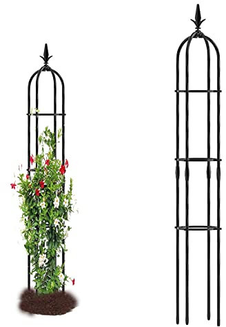Obelisco rampicante da giardino，150cm160cm170cmAltezza in metallo resistente, struttura di supporto per piante in acciaio inox per rampicanti, verdure, fiori, frutta, vite ( Size : 25cm Dia. x160cm H