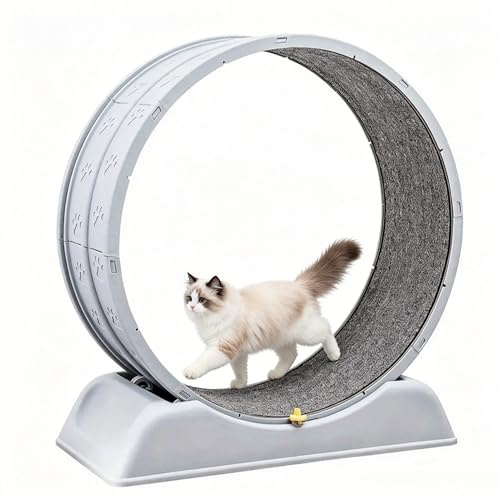 Cat Exercise Wheel for Indoor Cats, Cat Running Wheel with Carpeted Runway and Lock, Cat Treadmill for Large/Small Cats Interactive Toys for Running Walking Training