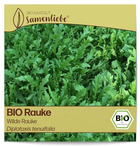 Samenliebe BIO Rauke Samen alte Sorte Wilde Rauke leicht bittere scharfe Rucola Wildkräuter grün 1500 Samen samenfestes Kräuter Saatgut für Küche indoor und Balkon Garten mehrjährig und winterhart