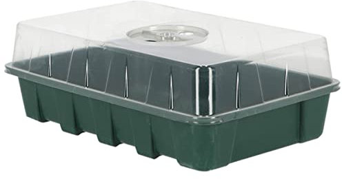 Esschert Design Garten Basics Zimmer-Gewächshaus L Grün 29,8 cm - Kunststoff