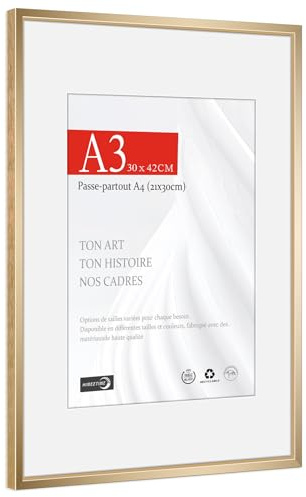 HIMEETIME® 1x Cornice Foto A3 29,7x42cm Alluminio spazzolato dorata champagne,Passepartout 21x30,Cornice 30x42 Grande per Foto Disegni,Solo per Espositore a Parete