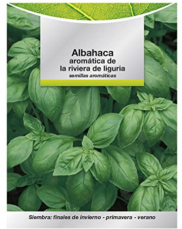 SATURNIA - Semillas Aromáticas Albahaca Aromatica (5 gramos) Horticultura, Horticola, Semillas Huerto.