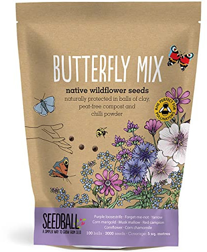 SEEDBALL Butterfly Mix Seed Bombs – 100 Seed Balls Per Pack | British Wildflower Seeds | Clay Protected Seed Bomb for Butterflies – Collection of Purple, Pink & Blue Flowers for Attraction