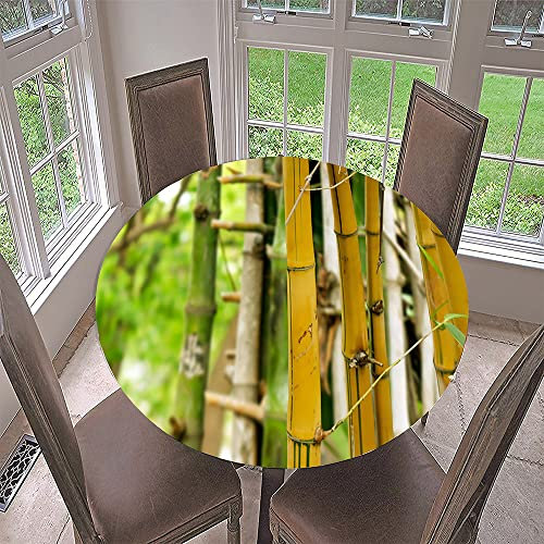 Morbuy Rund Tischdecke Elastisch, Lotuseffekt Tischdecke Abwaschbar Tischdecken Bambus Drucken Gartentischdecke Indoor Outdoor Tischtuch (Durchmesser 70cm,Gelber Bambus)