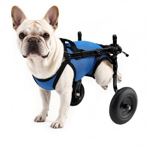 Nylvian Dog Wheelchair for Back Legs - Lightweight Adjustable Rear Wheels Mobility Cart for Disabled & Senior Dogs, Hind Legs Support (M)