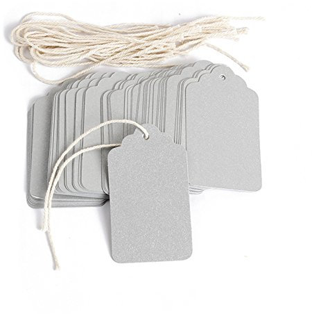 Obling Geschenkanhänger 100 x 4 *7 cm, Womens Day Geschenkanhänger, Hängeetiketten, Papieranhänger mit String für Geschenk, DIY Deko, Hochzeit Geschenke, Gepäck, Geschenke, Preise(Silber)