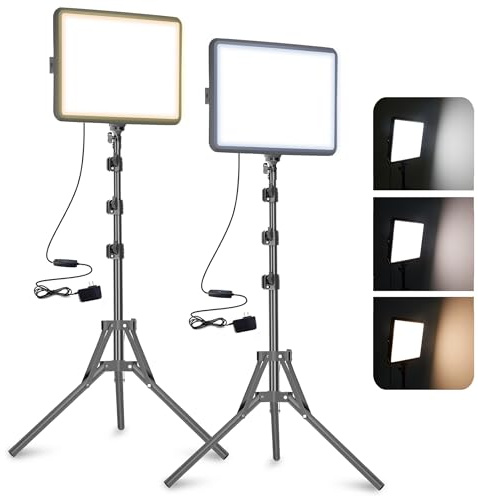 22 W videolampa 2-pack