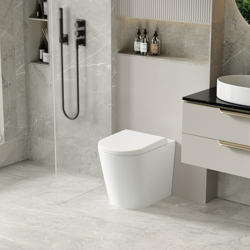 Robanmoa Modern Back to Wall Toilet Concealed Cistern Bathroom Toilets White Ceramic BTW Short Projection WC Pan Quick Release Soft Close Seat Hidden Tank Round Compact Toilet