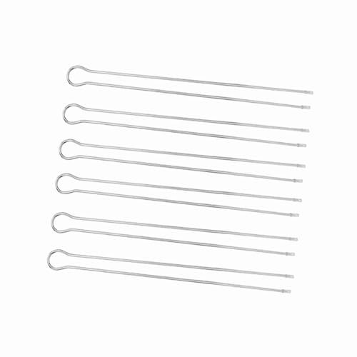 Brochetas DE Metal, Brochetas DE Acero Inoxidable 6pcs BBQ BBQ STACKS LARGO SEGRAS LARGAS DE SECULA DE BARRILLA BBQE PAR