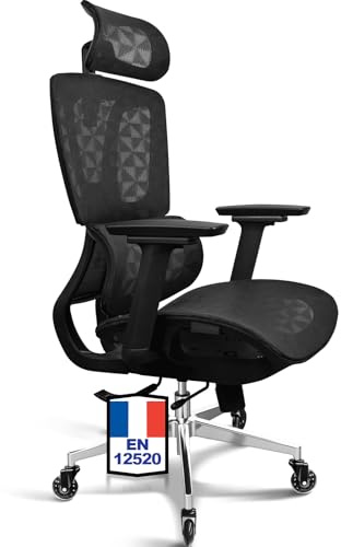 MELOKEA Silla Ergonomica de Escritorio, Reposabrazos 4D, Asiento Regulable en Profundidad, Ruedas de Goma, Inclinación de 4 Niveles, Silla de Oficina Ergonómica, Asientos de Malla, Estudio & Despacho