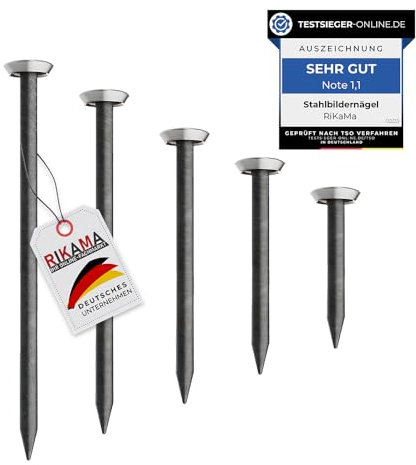 RIKAMA® Lot de 50 clous pour tableau, 10 x 20 mm, 25 mm, 30 mm, 40 mm, 50 mm - En acier - Pour une utilisation sur le béton, la brique, le plâtre et le bois - Fabriqué en Europe (tête argentée)