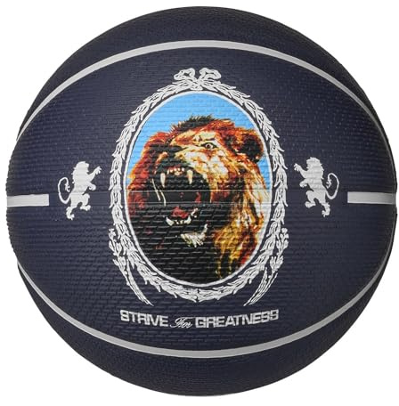 Nike Playground N.100.4372.506.07 James Deflated Ballon de Basket en Caoutchouc 8P 2.0 L Couleur Ocean Purple Ink/Phantom/Black/Phantom Taille 7