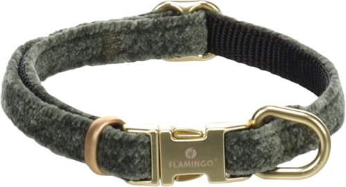 Collier Chien – Saba Vert XS | 20-35cm x 10mm x 3mm, Nylon/Velours, Boucle dorée