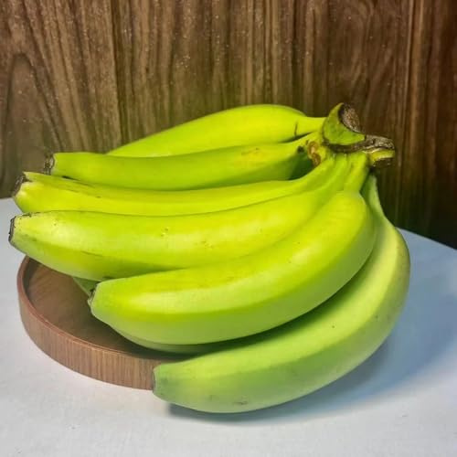 bananenpflanze bananenbaum, gartenpflanzen winterhart mehrjährig bananen bananensamen, balkonpflanzen winterhart obstsamen 30pcs