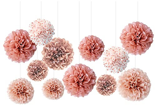 TIANNAIT 12 Pcs Paper Flower Balls, Tissue Pom Poms for Wedding Birthday, Bridal Shower, Feminine Girls Party, Backdrop Decoration, 12 inches, pink
