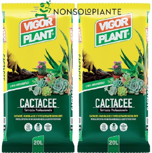 2 confezioni vigorplant Terriccio per piante grasse succulente e Cactacee 20 lt