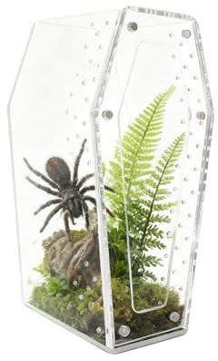 Recinto para Arañas Saltarinas: Hábitat Acrílico, Terrario Transparente | De Observación Transparente, Puerta con Cerradura Magnética, Vitrina Ventilada De 10x10x20 Cm con Uso Educativo En El Hog