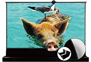 VIVIDSTORM-ALR Projector Screens S PRO 84 inch Electric roll up Rising Floor Screen HD/8K/4K Home Theater/Office/Game Compatible Ultra Short Throw Laser TV Projector,VSDSTUST84H-WB