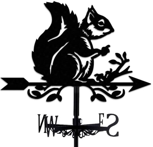 INFUNLY Eichhörnchen Wetterfahne Vintage Schwarz Metall Eichhörnchen Windfahne Hohler Windrichtungsanzeiger Garten Dach Koppel 13.78x10.63/35x27cm