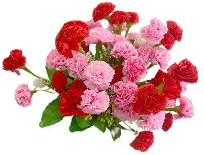 Rikyo Künstliche Seidenblumen, Nelken, 35,6 cm, Blumenstrauß und grünes Blatt für Zuhause, Party, Braut, Hochzeit, Festival, Dekoration, mit 12 Stück pro Strauß (Rosa + Rot)