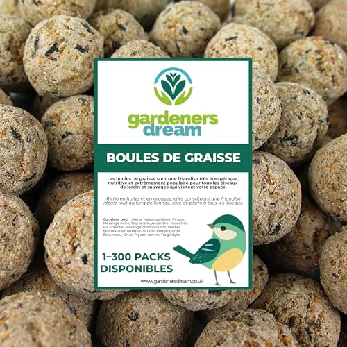 Boules de Graisse GardenersDream - Friandises énergétiques pour Oiseaux Sauvages (Paquet de 10)