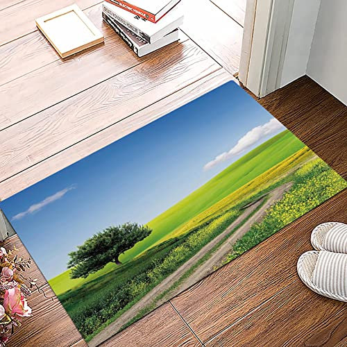 Badematte 50x80cm, Rutschfeste Badteppich, Natur, ländliche Landschaft mit Blumenrasenwiese Baumidylle, apfelgrün hellbla,Mikrofaser Badvorleger mit, Wasserabsorbierende Weiche teppiche für Badezimmer