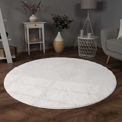 Paco Home Teppich Wohnzimmer Kunstfell weich waschbar modern elegant pflegeleicht Felloptik Uni Seidenglanz flauschig Kurzflor, Grösse:120 cm Rund, Farbe:Weiß