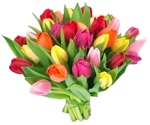 Ramo de Tulipanes Naturales y Frescos con 50 Flores Elegantes para Regalar
