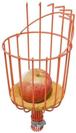Amig - Recogefrutas con Canastilla Metálica - Recogedor con Cojín Protector, Garras y Abrazadera Ajustable - Cesta para Recoger Manzanas, Naranjas, Peras - Acero Resistente
