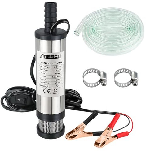 Anesty Water Pump 12V Diesel Fuel Pump, Small Oil Fuel Transfer Pump Submersible Water Pump with Clip, Removable Filter, 3M Power Cord and Hose (Φ 38mm)