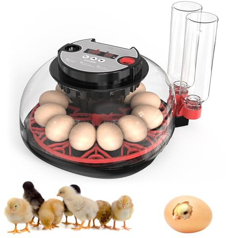 Incubators for Hatching Eggs, 12 Egg Incubator with Automatic Egg Turning and Humidity Control, 360° View Incubadora De Huevos De Gallina, Egg Candler, Incubator for Chicken Eggs, Ducks, Goose, Quail