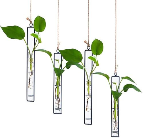 Vase en Verre en fer Forgé,Tianher 4 Pcs Noir Vase Mural en Verre Végétal Tube à Essai en fer Forgé Convient aux Vases de Décoration Murale pour Petites Fleurs Séchées et Plantes Vertes Hydroponiques