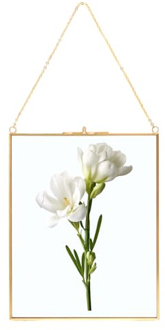 ZOFUN bildram av koppar, 25 x 20 cm hängande glasram glasram mässing hängande flytande glas fotoram, guld geometrisk prydnad växt provklämma