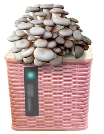 WJUHYGTF Kit De Culture Champignons Shiitake Biologiques, Mini Spores Pleurotes Bonsaï Mycélium, Aucune Expérience Requise, Idéal pour Les Débutants, Adapté À Toutes Villes Et Saisons,A