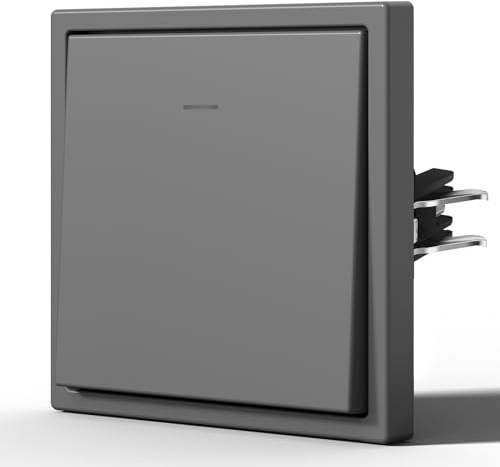 BSEED Interruptor pared Mate,Basculante con Garfio,Botón Pulsador con Pilotitos LED,Fácil Instalación,C-Series,1 Gang 1 Vía,80mm Gris