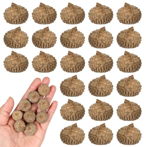 OATIPHO 150 Tapas de Bellota Natural de 1 a 2,5 Cm para Decoración Rústica de Otoño y Manualidades DIY Material Auténtico para Hogar y Fiestas