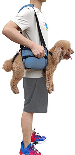 Coodeo Hundetragegurt, Notfallrucksack Unterstützung für Rehabilitation Hundelift Geschirr, Hundeträger für ältere Hunde Gelenkverletzungen, Arthritis, Treppe hinauf (M, Blau)