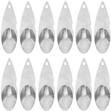Cabilock 12pezzi Cucchiaio Per Frutta in Acciaio Cucchiaio Per Scavare Kiwi Cucchiai Per Intagliare Frutta Cucchiai Per Sbucciare Utensili Da Cucina Multiuso