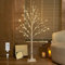 Hairui White Birch Twig Tree with Lights 4FT 72 LED for Home Christmas Holiday Party Decorations Plug in